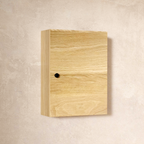 Hardwood Veneer Medicine Cabinet With Shelf